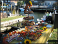 wedding catering coctail hour colorful appetizer table