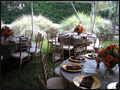 outdoor wedding catering with beautiful lush garden as a backdrop