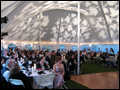 tables, linens, dance floor, tent lighting - we can help you with all of it