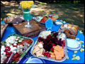 catered food table for a cocktail hour at a backyard wedding featuring antipasto, cheese and fruit platters, crudites and dips