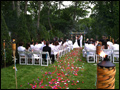 Long Island wedding ceremony in a back yard with rose petals and torches decorating the isle