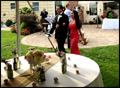 wedding party walking down the isle at a catered Long Island backyard wedding